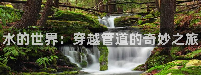天辰娱乐待遇