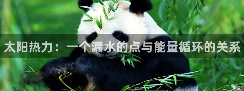 天辰娱乐885544