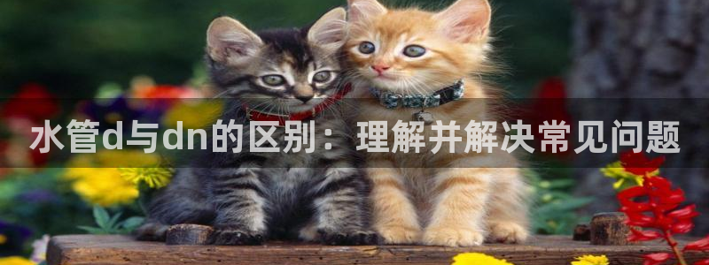 天辰娱乐新闻