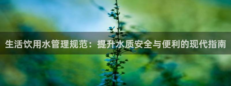 天辰娱乐内部