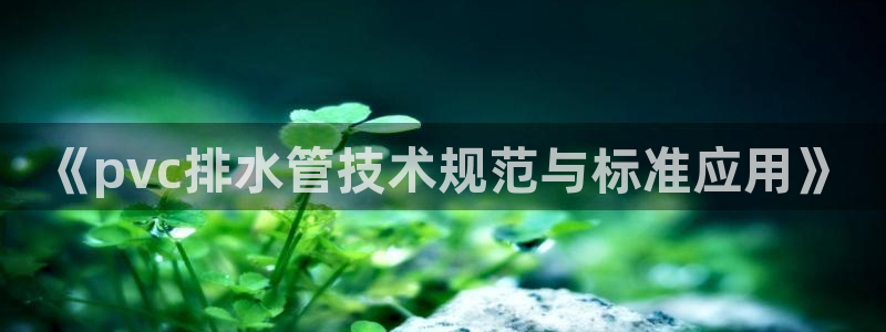 天辰娱乐 主管
