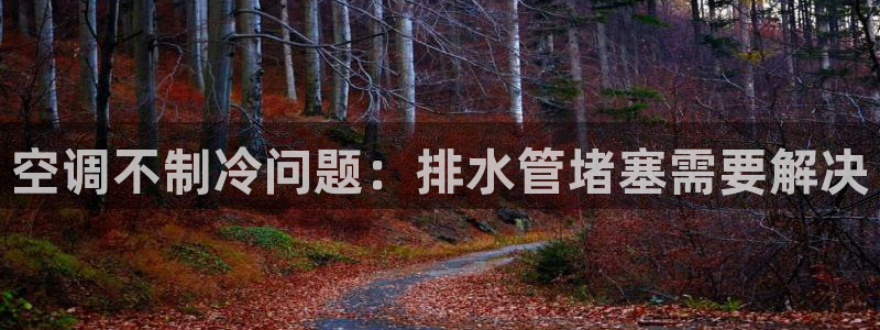 天辰娱乐平台app下载