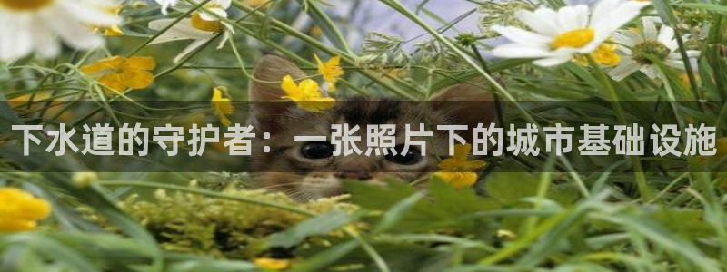 天辰娱乐-18113