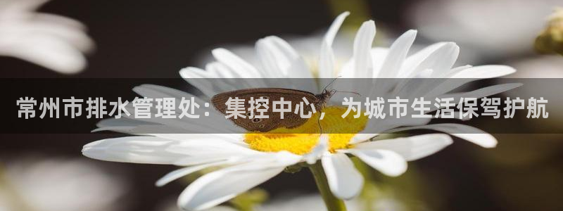 天辰娱乐44616