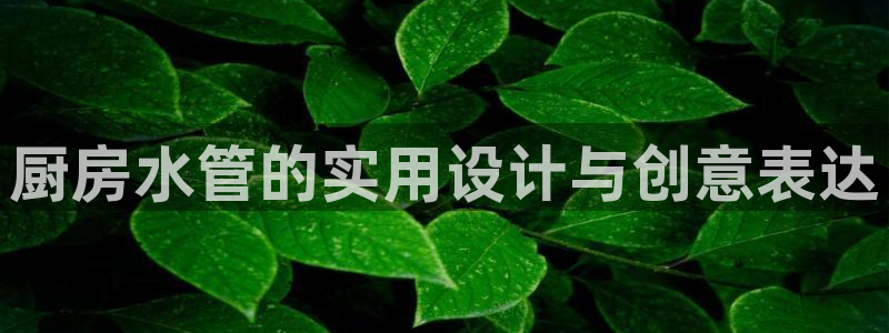 天辰娱乐公司