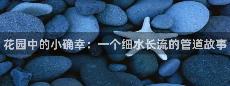 天辰娱乐 44516
