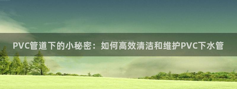 天辰娱乐游客
