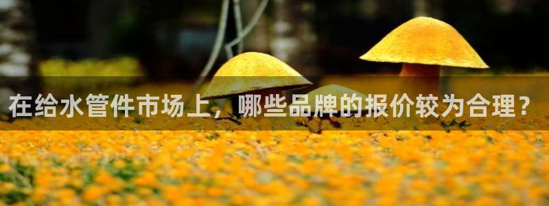北京天辰娱乐