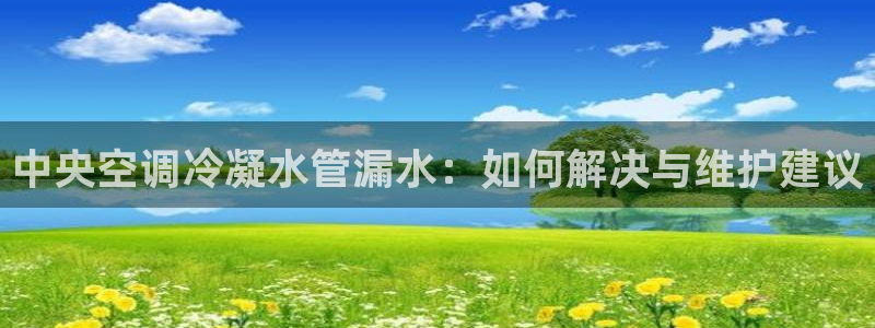 天辰娱乐总管年薪