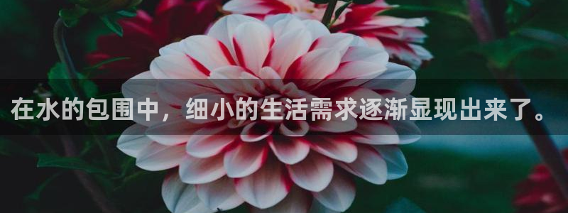 天富娱乐与天辰娱乐