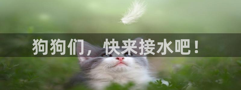 天辰娱乐天辰宝