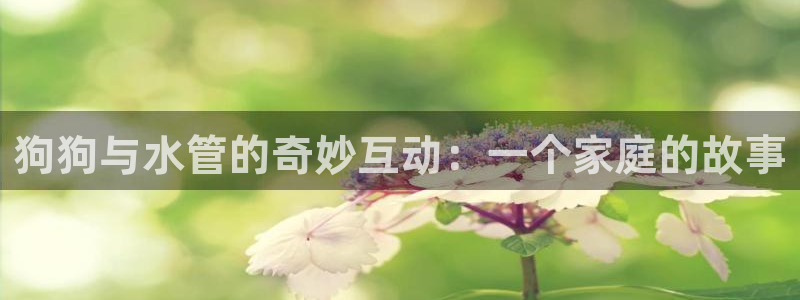 天辰娱乐 主管