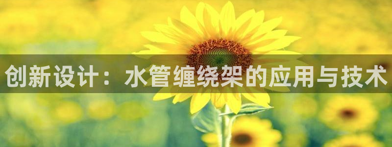 辰天娱乐用品