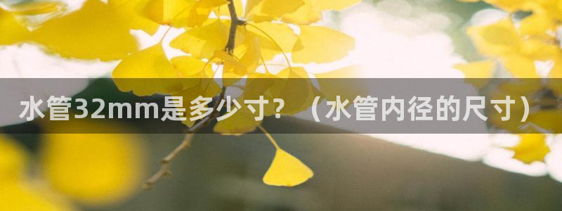 天辰娱乐总管
